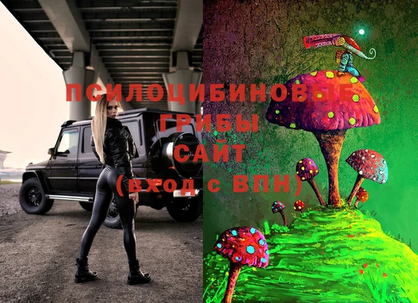 гидропоника Горняк