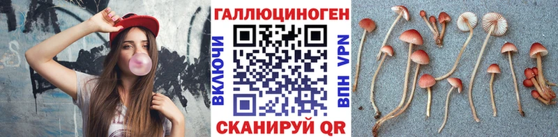 купить наркотик  Ачхой-Мартан  Псилоцибиновые грибы MAGIC MUSHROOMS 