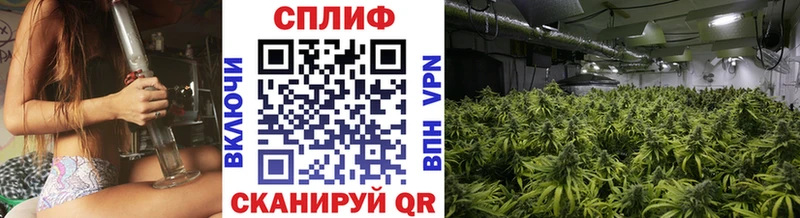 Канабис SATIVA & INDICA  купить наркоту  Ачхой-Мартан 